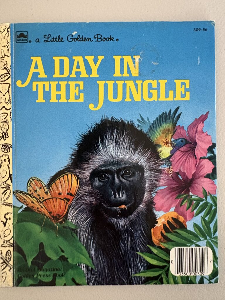 A Day in the Jungle