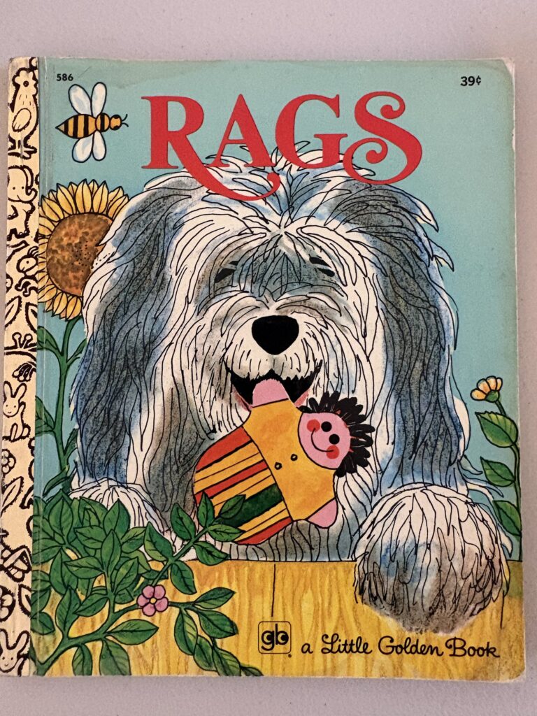 Rags