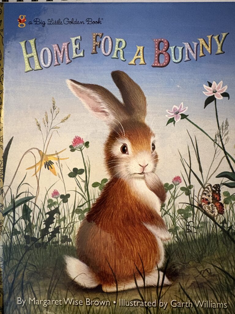 Hoke For A Bunny